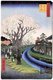 Japan: Spring: Cherry Blossoms on the Banks of the Tama River (玉川堤の花). Image 42 of '100 Famous Views of Edo'. Utagawa Hiroshige (first published 1856–59)